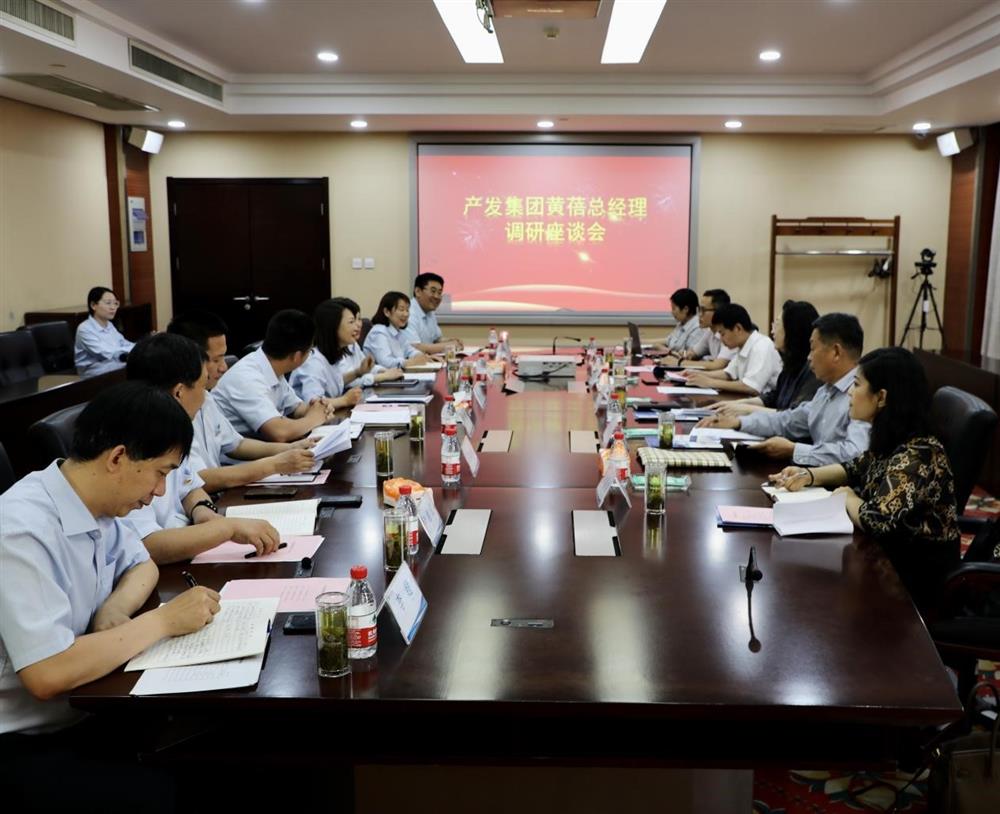 集團黨委副書記、總經(jīng)理黃蓓帶隊調(diào)研濟南市工程咨詢院